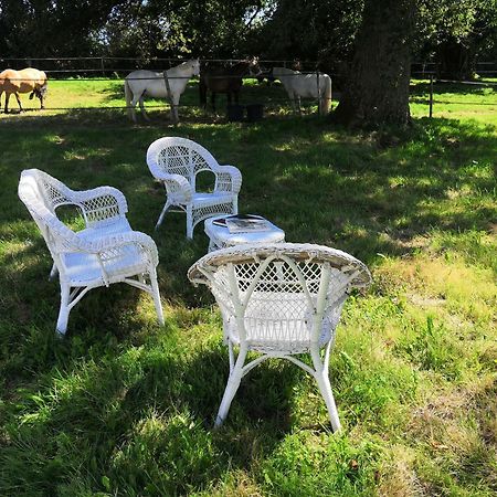 La Marquise Penchee Bed and Breakfast Orsennes Eksteriør billede