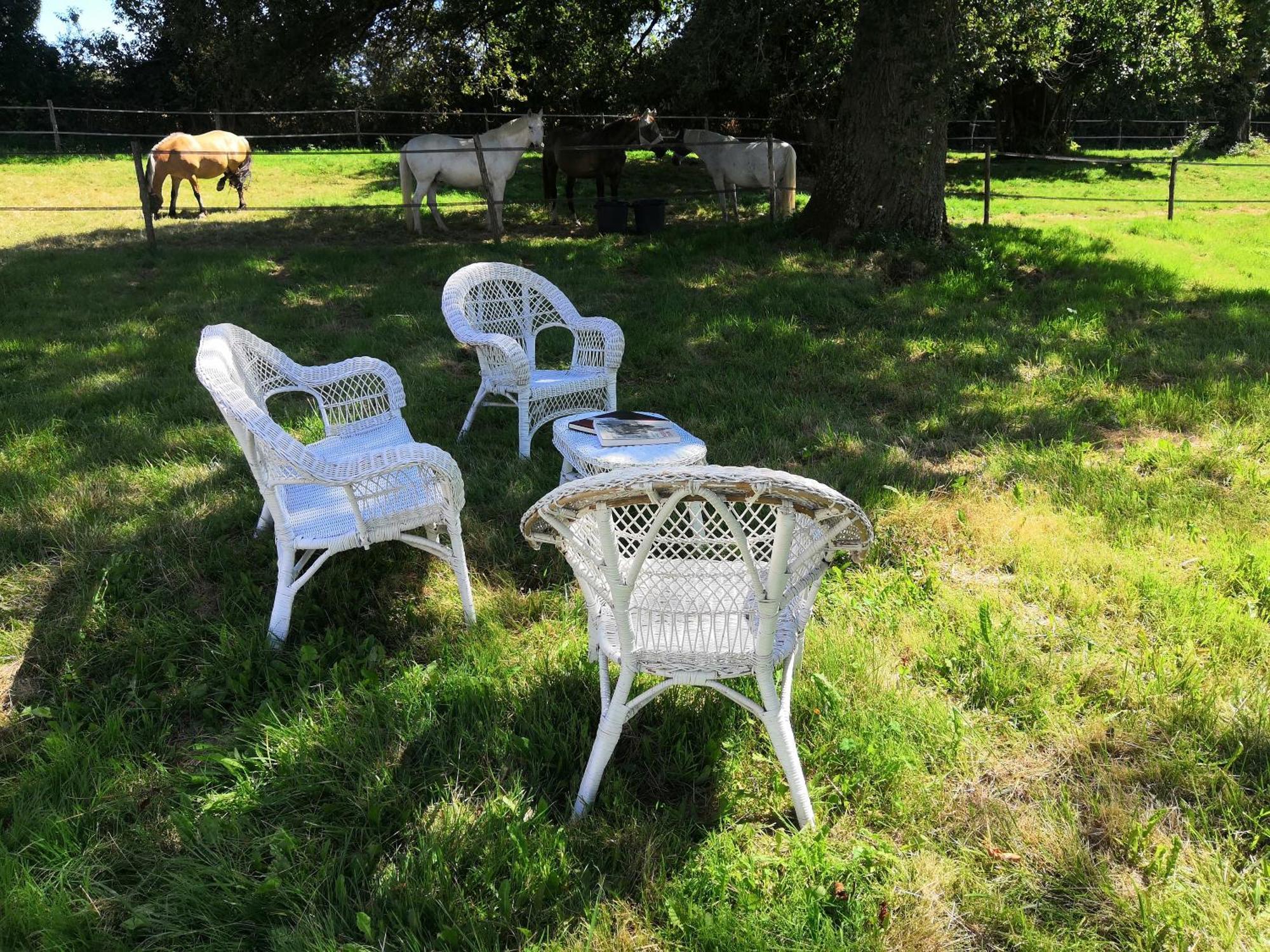 La Marquise Penchee Bed and Breakfast Orsennes Eksteriør billede